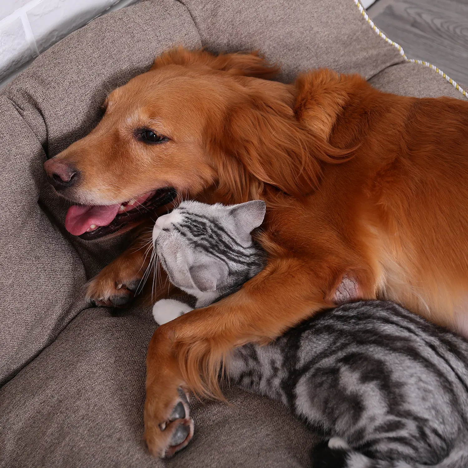 HOOPET Kutyafekhely, kutyaágy Kávébarna színben L méretben (DOG-BED-61072-COFFEE-L)