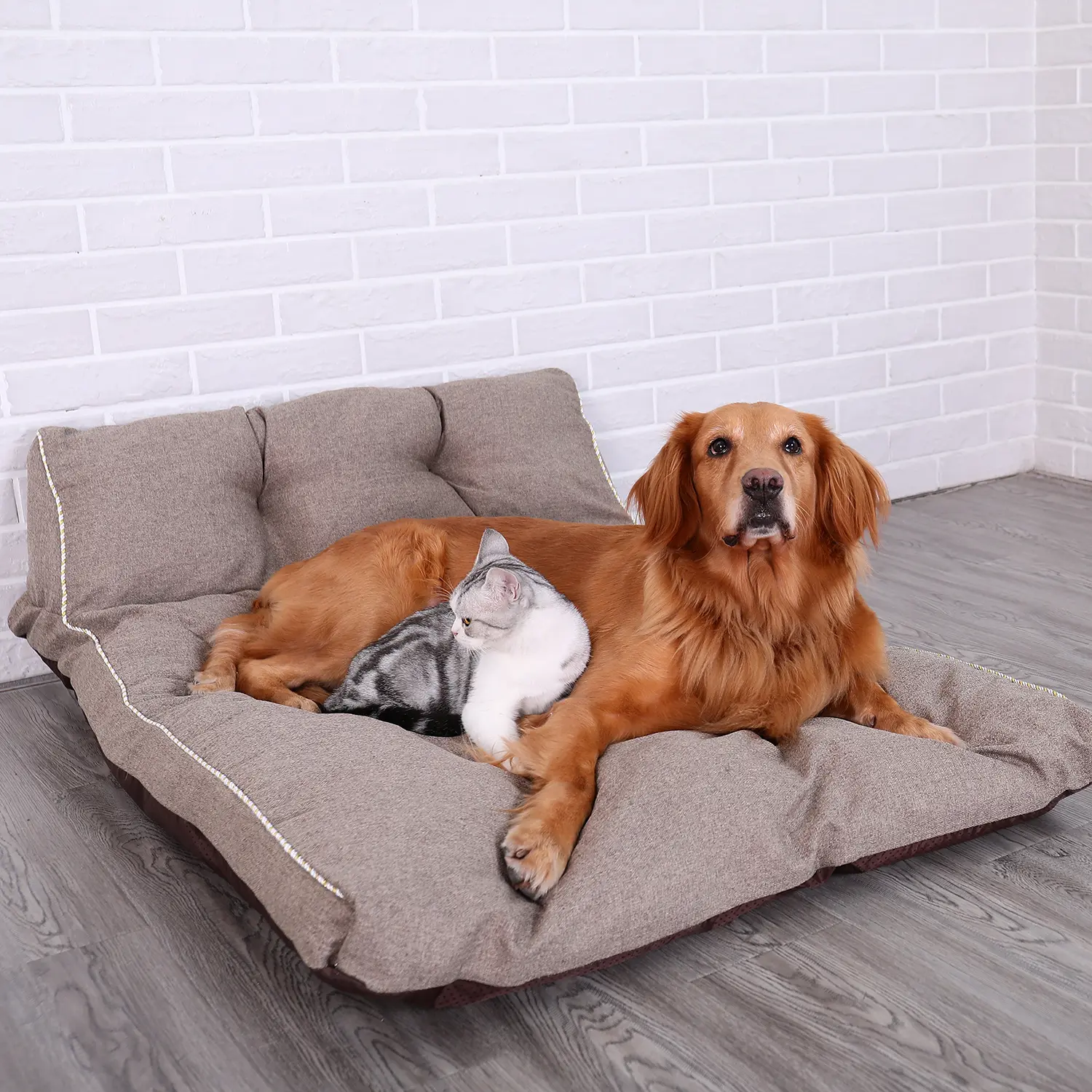 HOOPET-Kutyafekhely, kutyaágy kávébarna színben S méretben (DOG-BED-61058-COFFEE-S)