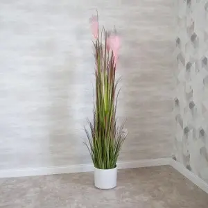 Műnövény, művirág pampafű 120 cm (AP-32-120)