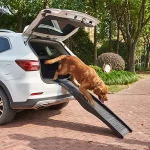 Összecsukható kutyarámpa, rámpa kisállatoknak fekete színben (XDB-440-pet-ladder-black)